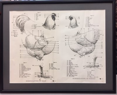 Nomaclature (2).JPG