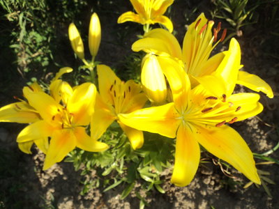DSC00909.JPG