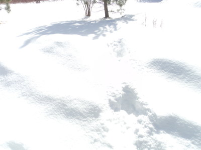 DSC08032.JPG