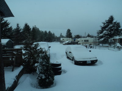 After the Storm Sat Nov 19/16