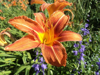 DSC00859.JPG