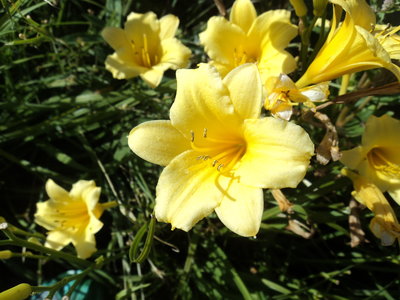 DSC00861.JPG