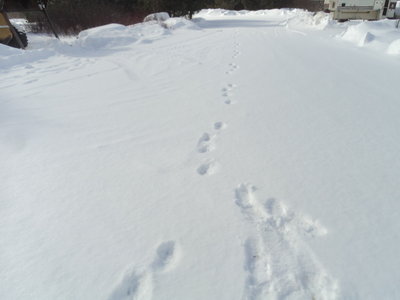 DSC08030.JPG