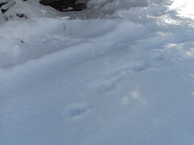 DSC08047.JPG