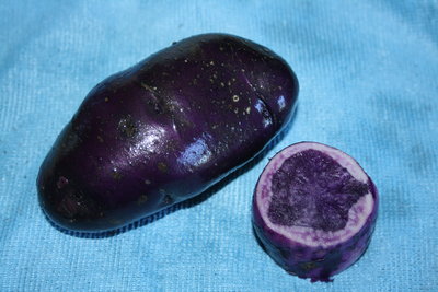 Peruvian Purple cut