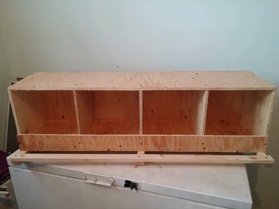 20170315_174824.jpg
