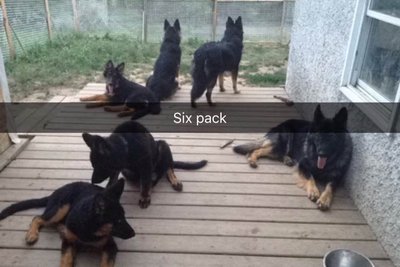 July 15 6-pack.jpg