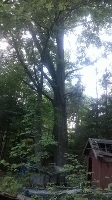 Edited_ImageEasyImageEditor_20160730_61.jpg