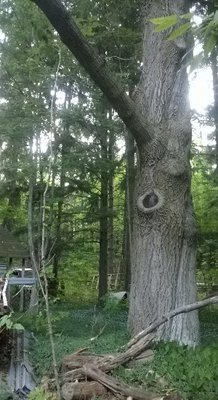Edited_ImageEasyImageEditor_20160730_60.jpg