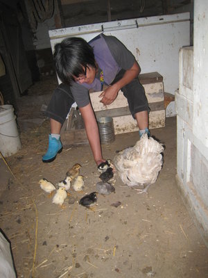 The waitress offers second helpings