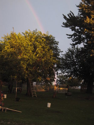 Garden, rainbow.JPG