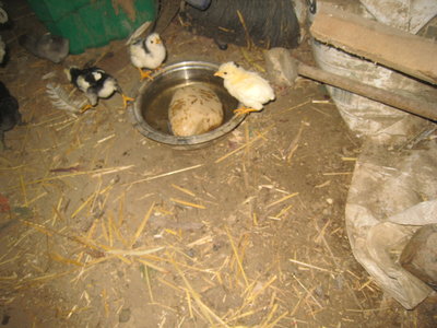 Drinking starts early in the day.