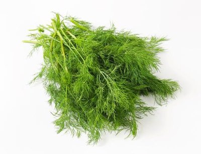 Dill.jpg