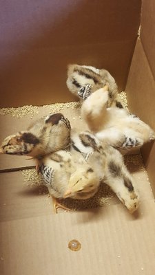 20160611_125321.jpg