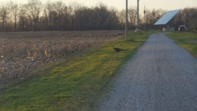20170422_200007.jpg