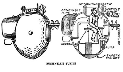 bushnell-turtle1.jpg