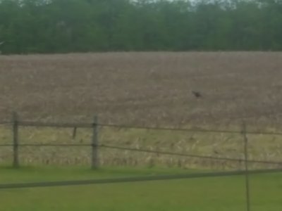 20170606_185054.jpg
