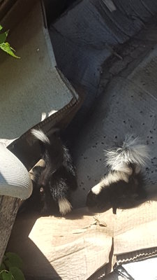 20170718_145838.jpg