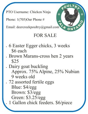 Single PTO Note Page Example.jpg