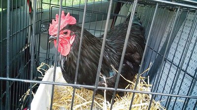 20160804_204030.jpg