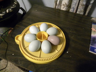 DSCN4262.JPG
