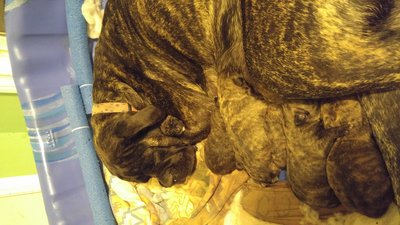 Snuggles with some of the newborns