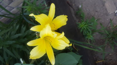 20160727_184000.jpg