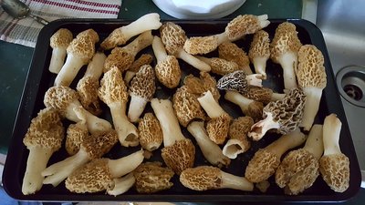 20170507_131423.jpg