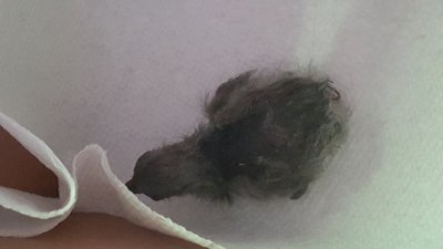20161022_091452.jpg
