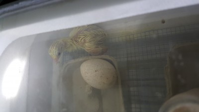20160227_210216.jpg
