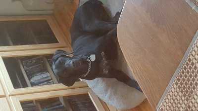 20170101_165852.jpg