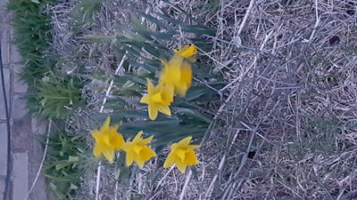 20160330_200420.jpg