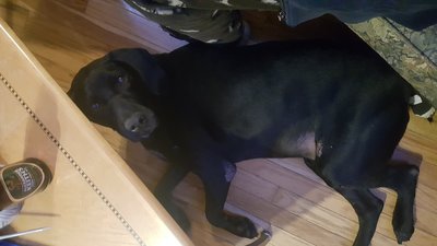 20171216_213708.jpg