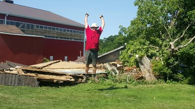 shed demo.jpg