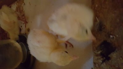 20160406_170032.jpg