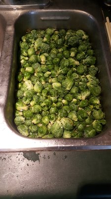 20161009_134453.jpg