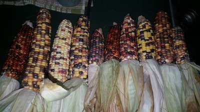 20160911_112221.jpg