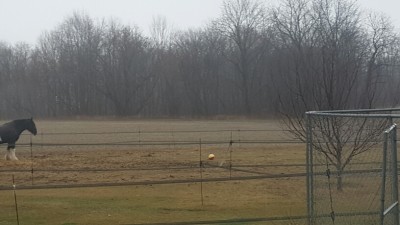 20160110_093741_resized.jpg