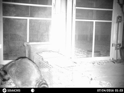 HUNT0043.JPG
