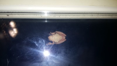 20160309_225640.jpg