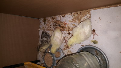 20160406_170041.jpg