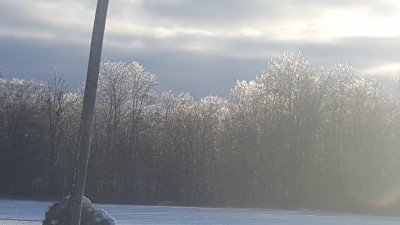20160302_075335.jpg