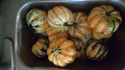 20160902_191804.jpg