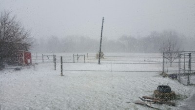 20160110_121514_resized.jpg