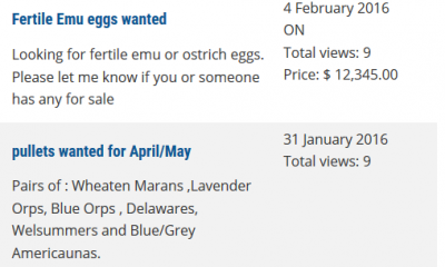 browse ad.PNG
