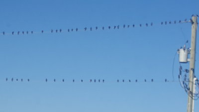20160904_084717.jpg