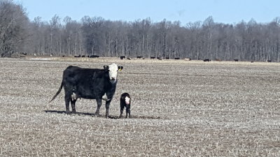 20180324_100651.jpg