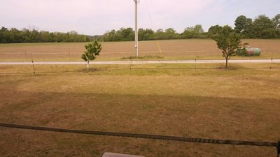 yellowgrass.jpg