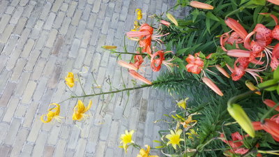 20160727_183943.jpg