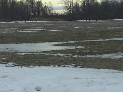 20160116_1655081745629729.jpg